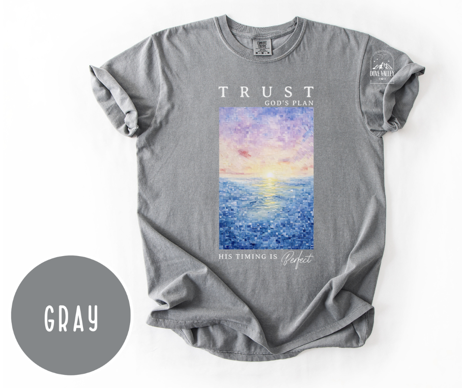 Trust God's Plan T-Shirt