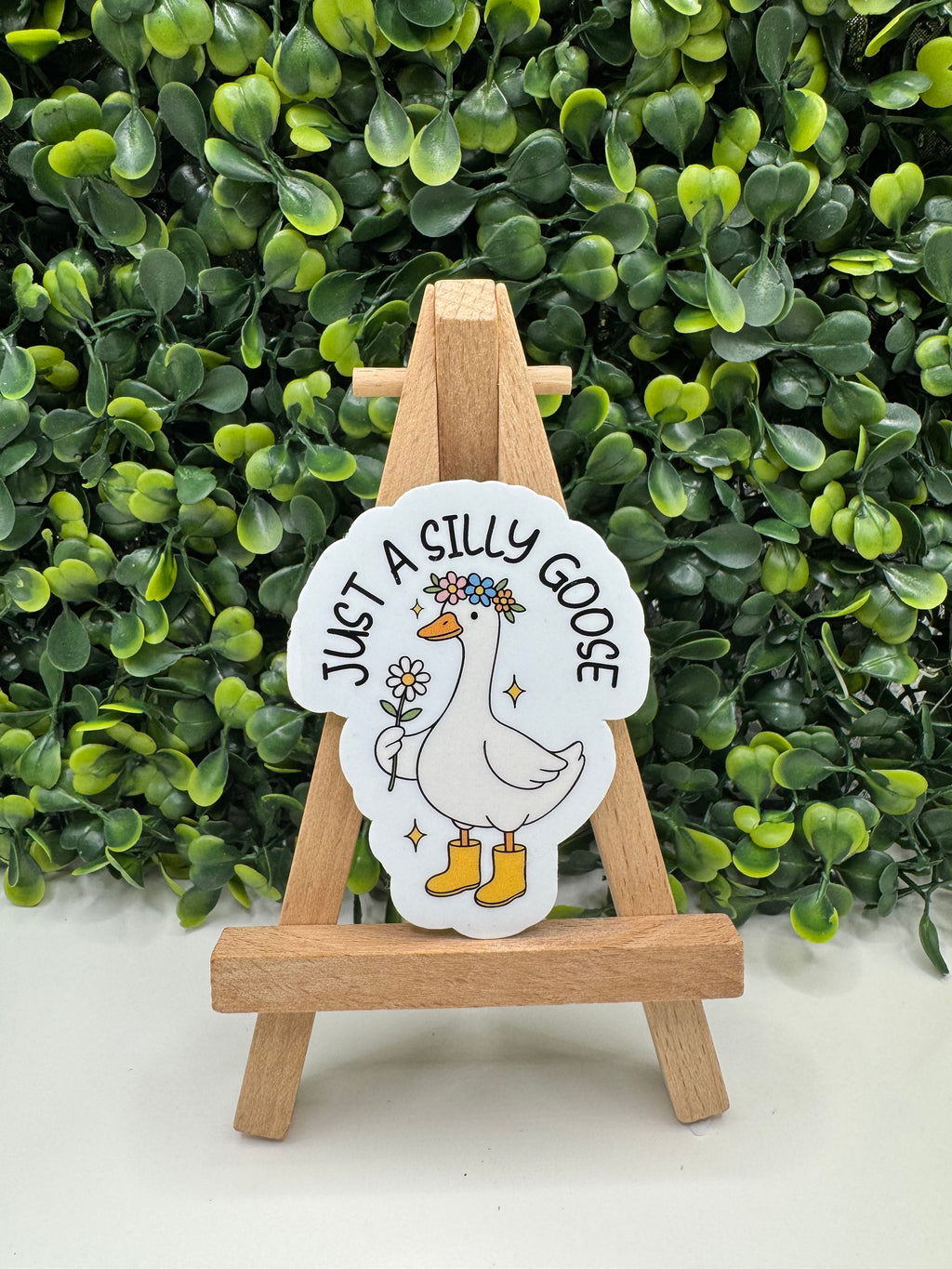 Just a Silly Goose