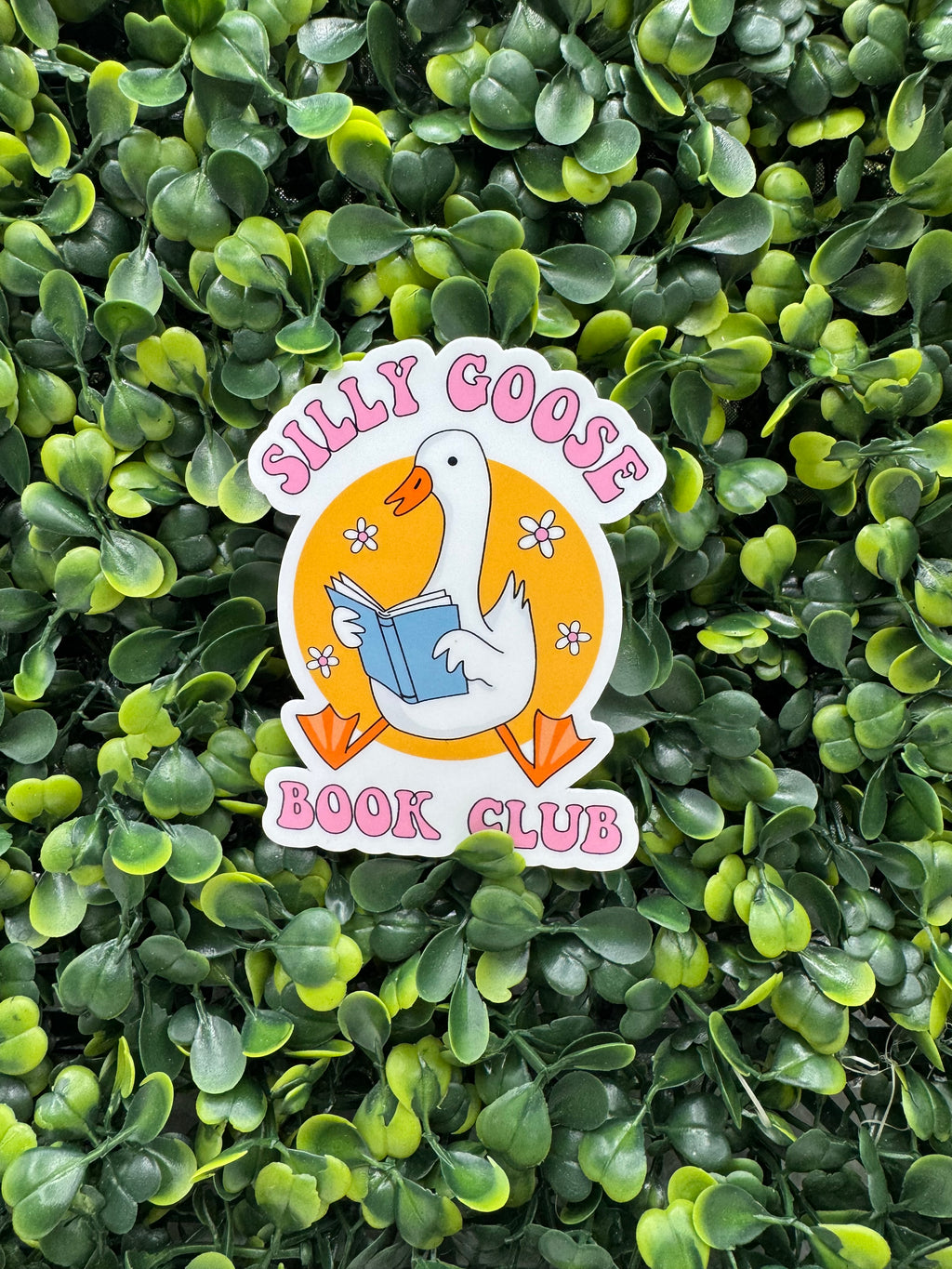 Silly Goose Book Club