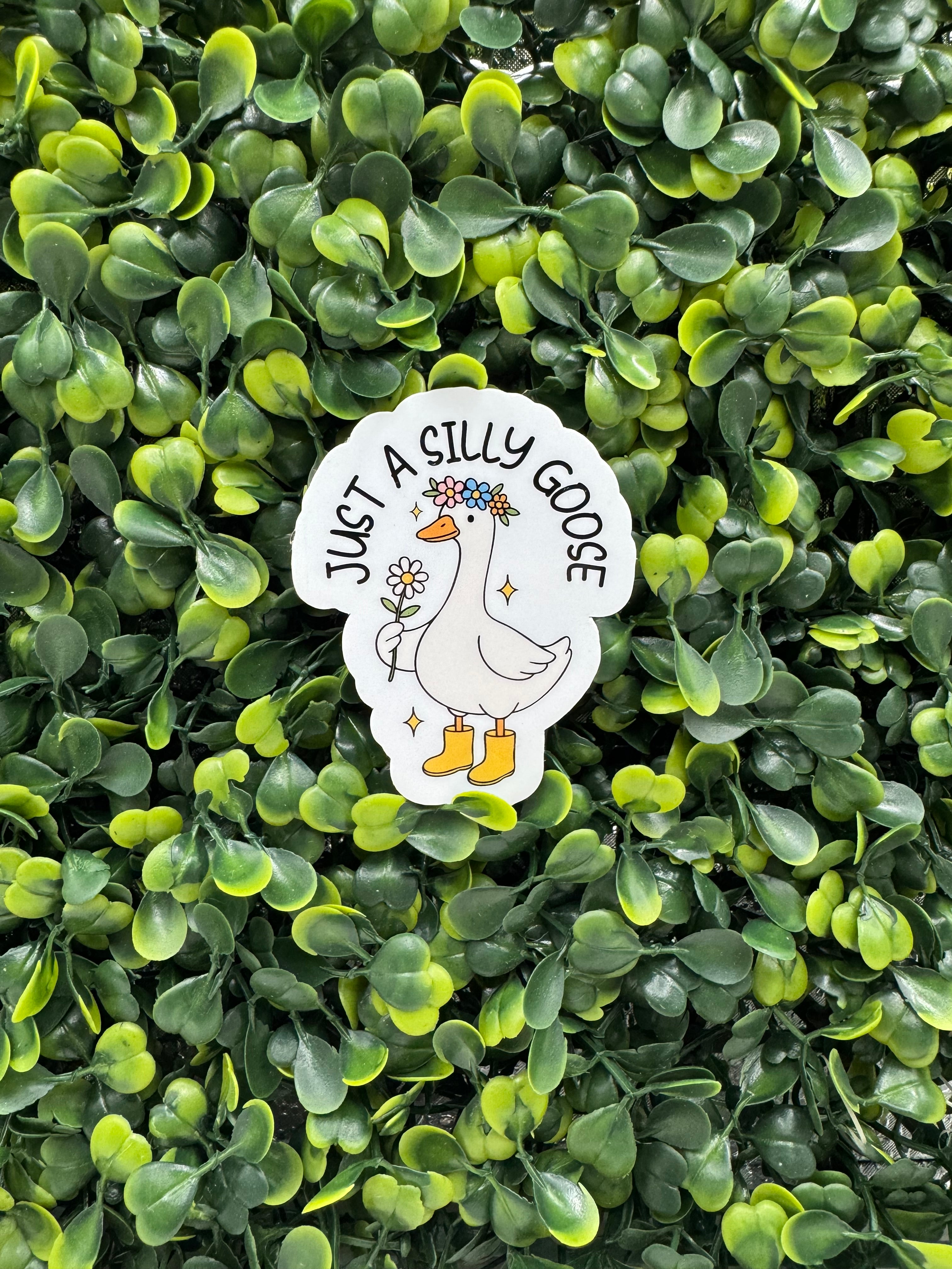 Just a Silly Goose