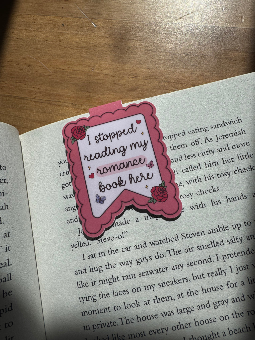 I Stopped Reading My Romance Book Here